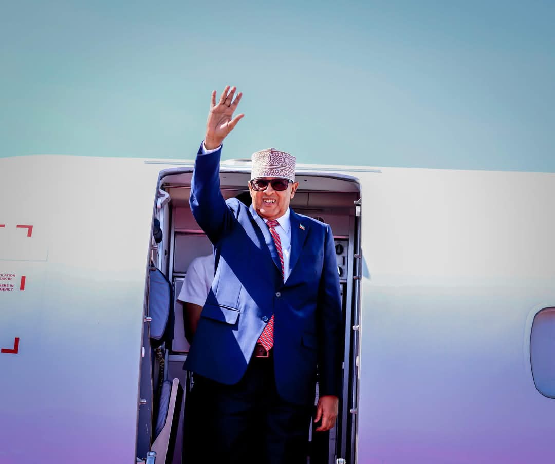 WADDANI PARTY tweet media