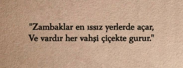 77Sayfa's tweet photo. "Zambaklar en ıssız yerlerde açar 
Ve vardır her vahşi çiçekte gurur" https://t.co/nZPXbFEWY8