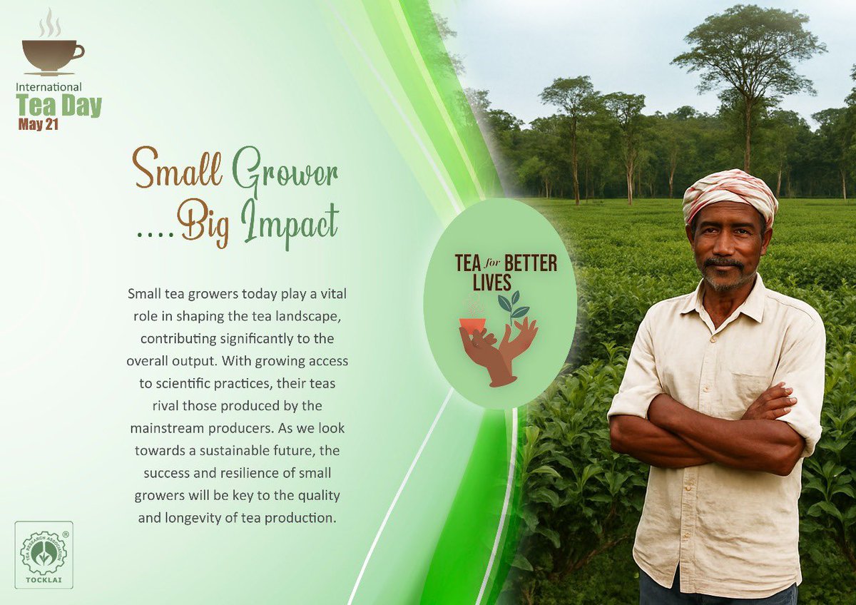 Small tea farmers play an important role for the Indian tea production 

#HappyInternationalTeaDay #FarmedWithCare #Pickedforyou