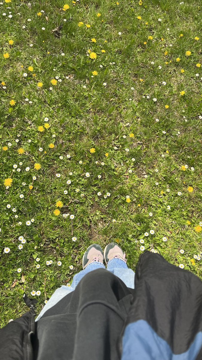 Melis (@melisocll) on Twitter photo 