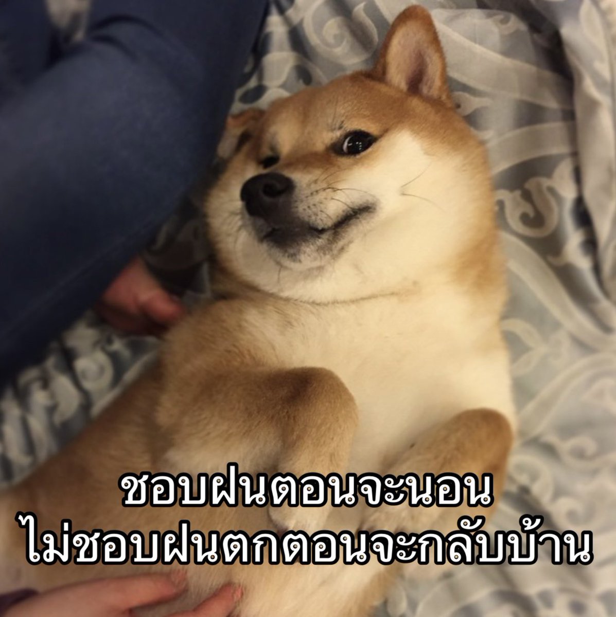 IMeSayIt's tweet photo. ละชอบตกตอนจะกลับบ้านมาก https://t.co/gFGZgwR4lO