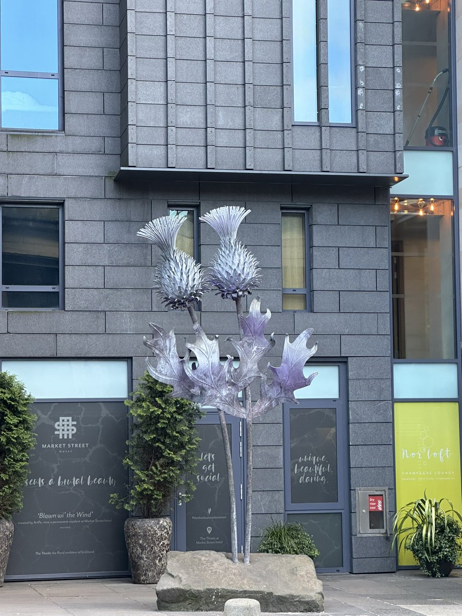 Arrived safely #itstartshere #YarmPrePrep