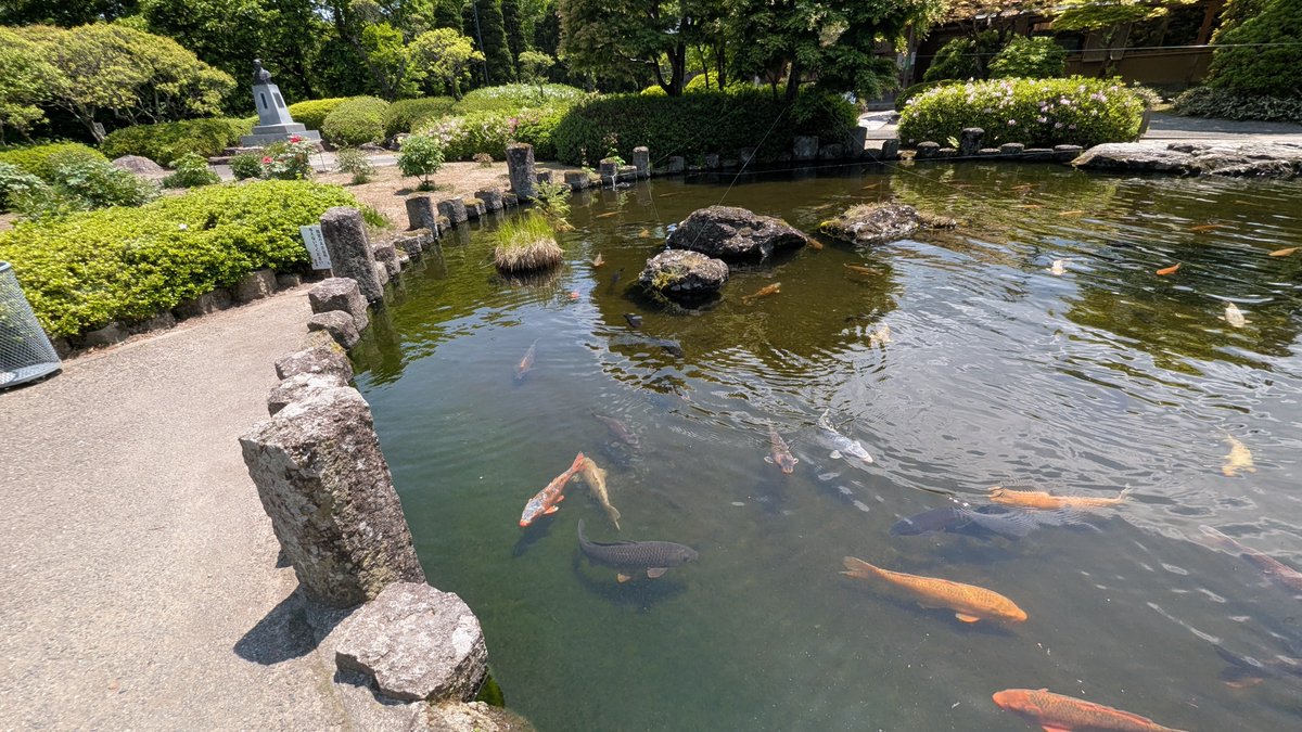 今週23日21時からスペースにて
鹿の一人語りを行う予定です。

今週の内容は 「定義さんについて」
と動画の進捗状況についてです。

よろしくお願いします🙇