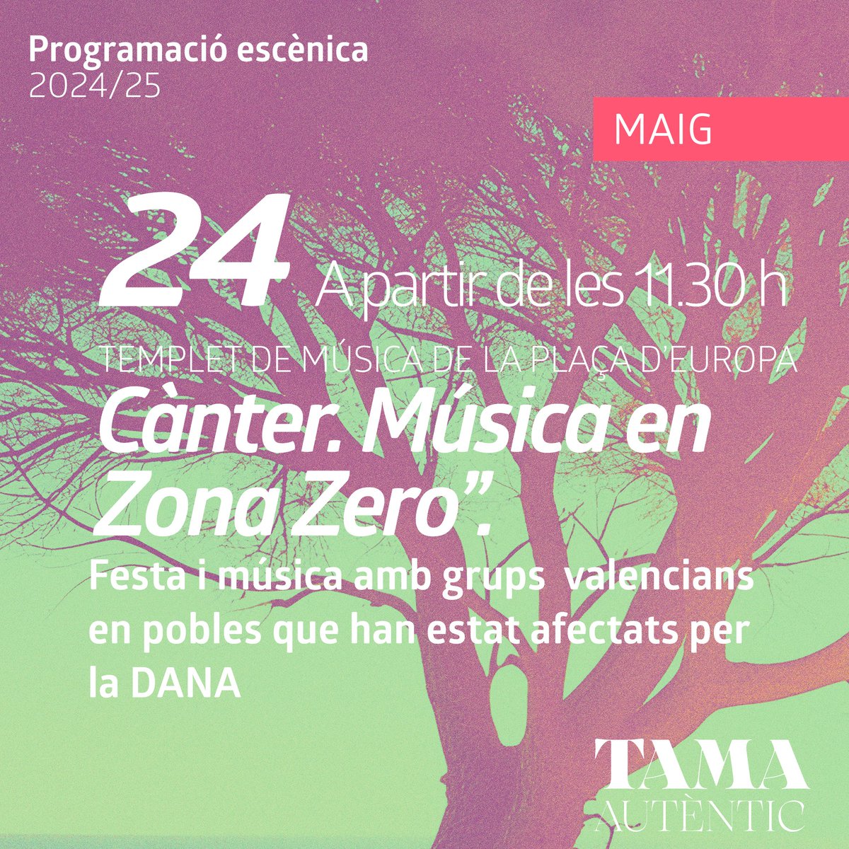 TAMA. Teatre Auditori Municipal d'Aldaia (@tamaldaia) on Twitter photo 🎷 Dissabte s'esdevindrà "Cànter. Música en la Zona Cero", un cicle que vol contribuir a la recuperació de les localitats afectades per la DANA.
🗓 14 de maig | 🕤 11.30 h
🎟 Accés lliure
📍 Templet de Música
✨ Cultura que uneix, sana i fa poble.
#AutènticTAMA <a href="/Ajuntaldaia/">Ajuntament d'Aldaia</a> 🎷 Dissabte s'esdevindrà "Cànter. Música en la Zona Cero", un cicle que vol contribuir a la recuperació de les localitats afectades per la DANA.
🗓 14 de maig | 🕤 11.30 h
🎟 Accés lliure
📍 Templet de Música
✨ Cultura que uneix, sana i fa poble.
#AutènticTAMA <a href="/Ajuntaldaia/">Ajuntament d'Aldaia</a>