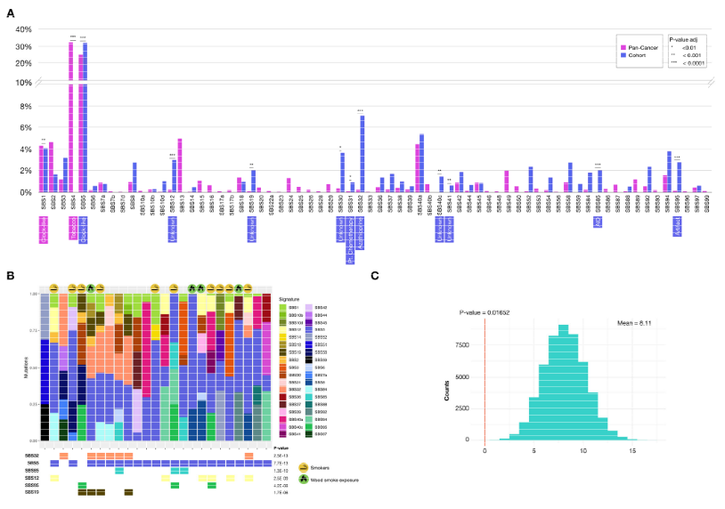 IJMS_MDPI's tweet photo. 💡#LastestPaper

📕A Pilot Study: Contrasting Genomic Profiles of #Lung #Adenocarcinoma Between Patients of European and Latin American Ancestry

🧑‍🔬By Dr. Jorge Melendez-Zajgla, et al.

🔗Read full paper: https://t.co/IxcjoP2pqe

#NSCLC #lungcancer #genome #genomicprofile #exome https://t.co/qazFAUdkbR