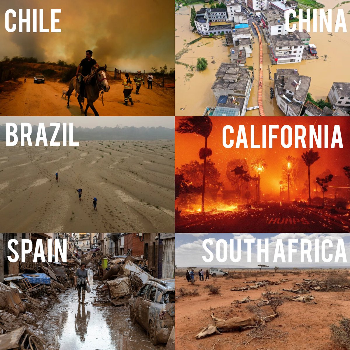 Gio_Canu's tweet image. People worldwide are already feeling the effects of #climatechange: droughts, fires, flooding, heatwaves.

I&apos;m fundraising for @WWF to disinvest from #fossilfuels and leave future generations a better planet?

Please donate today, no amount is too small!

justgiving.com/fundraising/ri…