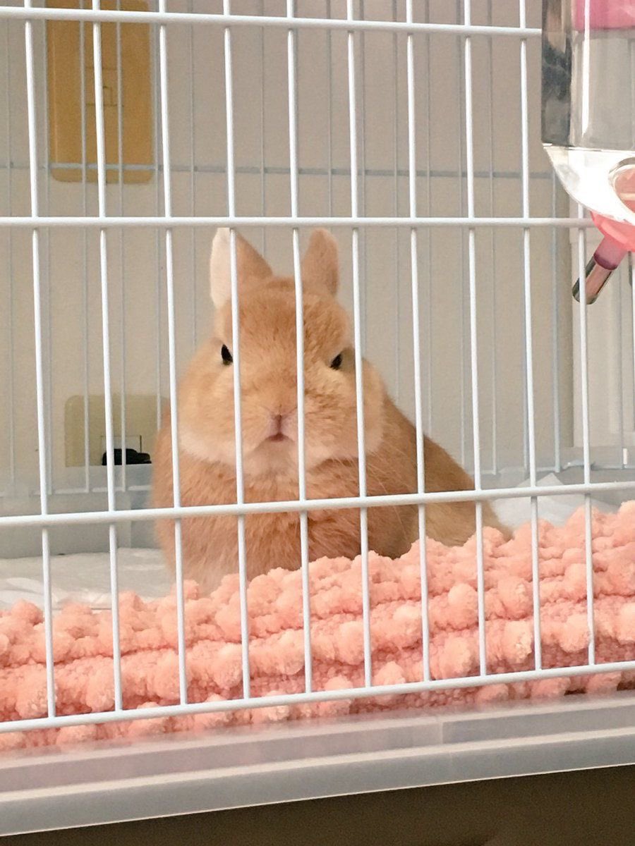 LET ME OUT!!!!