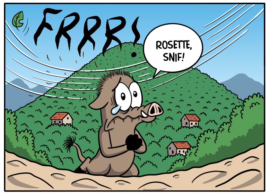 ALERTE INFO : Rosette et Razorbacu ne sont plus ensemble ! Toute la vérité sur leur séparation dans le tome 12, disponible en librairie la semaine prochaine.
razorbacu.com