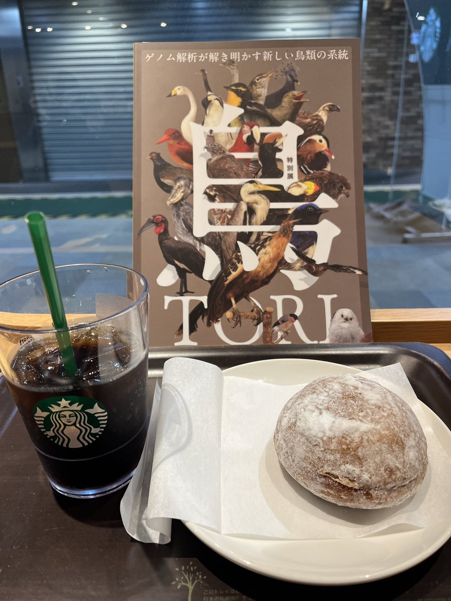 ボランティア後に「特別展　鳥」を見学

ゲノム解析の進歩で系統樹が大きく変化した？😱

久しぶり笑った展示😍
お客様は女性が多い😊

絶滅したキタタキ

翼長7mの空飛ぶ化石鳥サンデルシ

トリを務めるは名古屋コーチンの手羽先（笑）

写真のトリは、恒例のスタバ
病みつきティラミスマラサダ❤️‍🔥