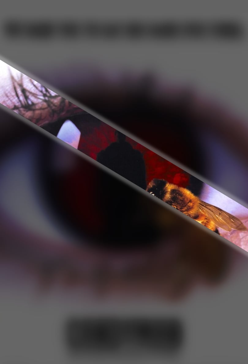 Vanishing Point - A movie roadcast tweet media