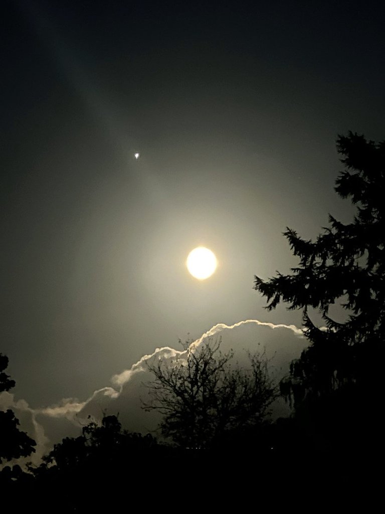 Mi compañera 
#Goodnighteveryone 🌌 &amp;  #Moon 🌕