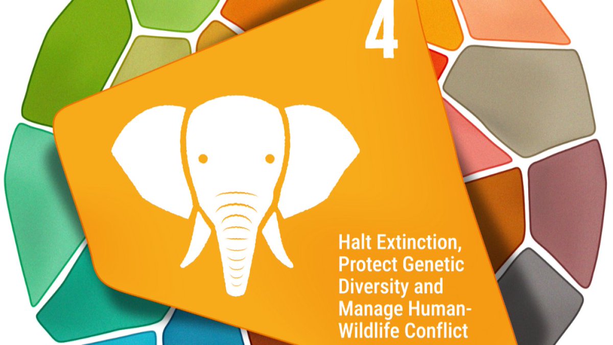 World Association Zoos & Aquariums (@waza) on Twitter photo 🔔 Don’t miss the <a href="/ReversetheRed1/">Reverse the Red</a> webinar on GSAP Action 4.4: Changing the Trajectory of Conservation with Effective Ex-situ Populations.
Explore how zoos, seed banks, and breeding programmes can play a vital role in species recovery.
📅 22 May 2025
🔗 f.mtr.cool/chtracbewu 🔔 Don’t miss the <a href="/ReversetheRed1/">Reverse the Red</a> webinar on GSAP Action 4.4: Changing the Trajectory of Conservation with Effective Ex-situ Populations.
Explore how zoos, seed banks, and breeding programmes can play a vital role in species recovery.
📅 22 May 2025
🔗 f.mtr.cool/chtracbewu