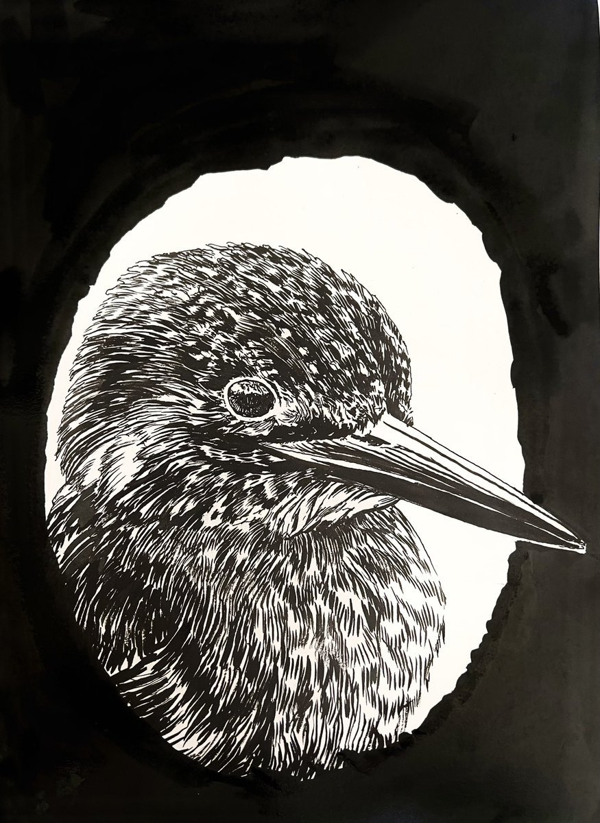 Tekening gemaakt. 

‘That’s all folks, ik ga inktvissen’