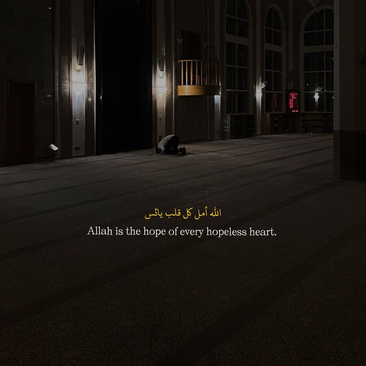 Syeda (@syeda_______) on Twitter photo 