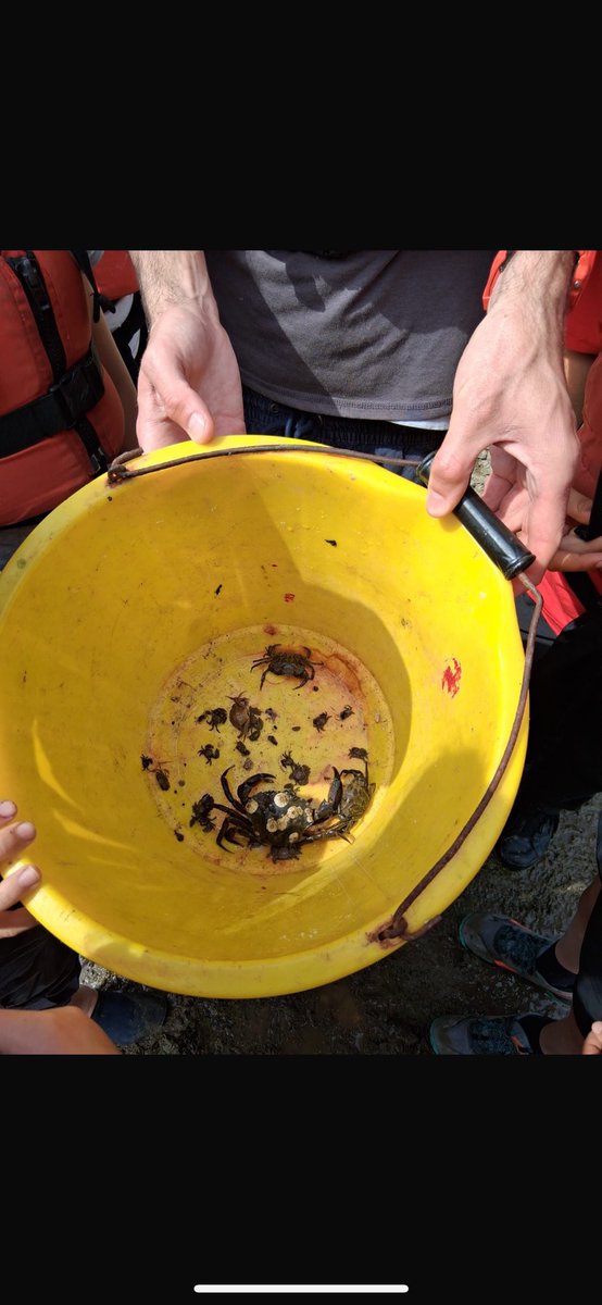 Sandilands Primary (@sandilandsps) on Twitter photo 