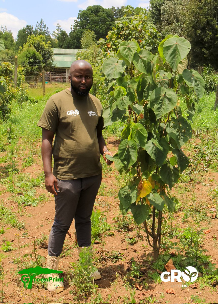 If a tree stump could talk… it would ask, “Did you plant one before you took me?”
It would remind us: cutting a tree is not just an act, it's a question to future generations.

#ReforestTheFuture #GreenMinds #IfTreesCouldTalk #climateguardians #worldwithouttrees #GROwithus