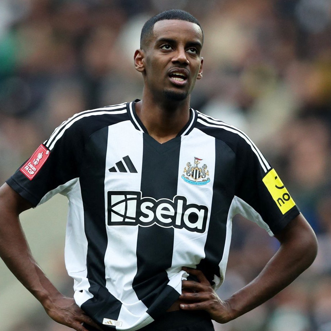 Magpie Media tweet media