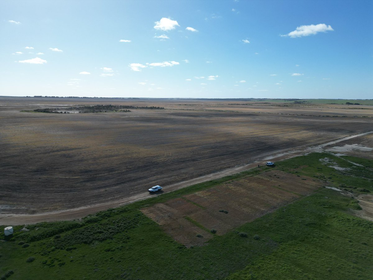 Monica Field tweet media