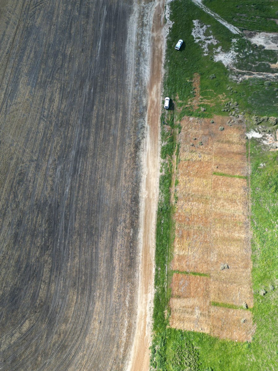 Monica Field tweet media