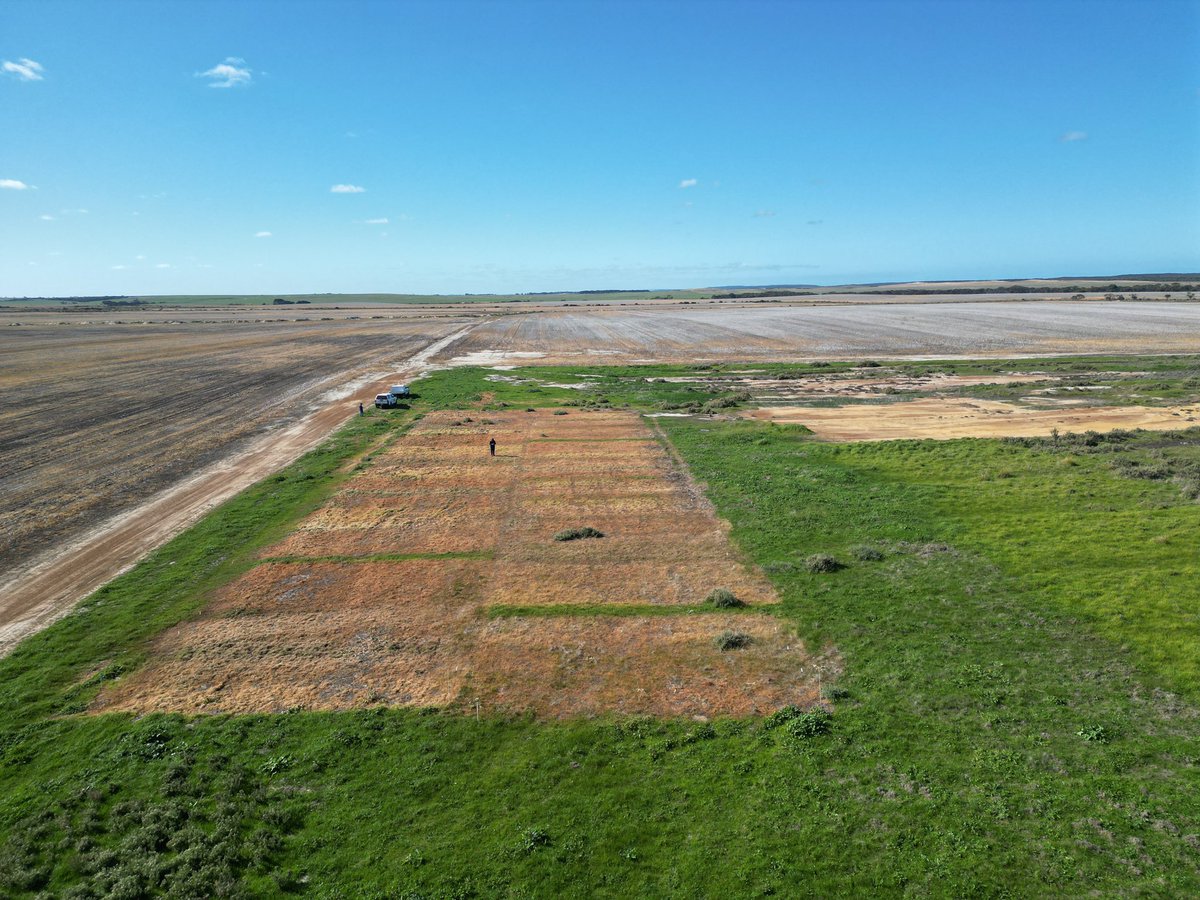 What happens if we lose paraquat in our dry land cropping system? This trial explores alternative herbicide modes of action and use patterns. F&amp;G and NRI agronomy teams across Australia are testing replicated treatments in varied environments &amp; weed spectrums.