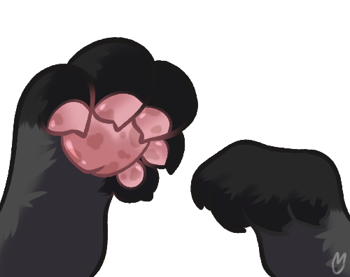 LunkoAD's tweet photo. It's #PawDay so praise and love on the holy beans everyone! https://t.co/nNYXcKHkK6