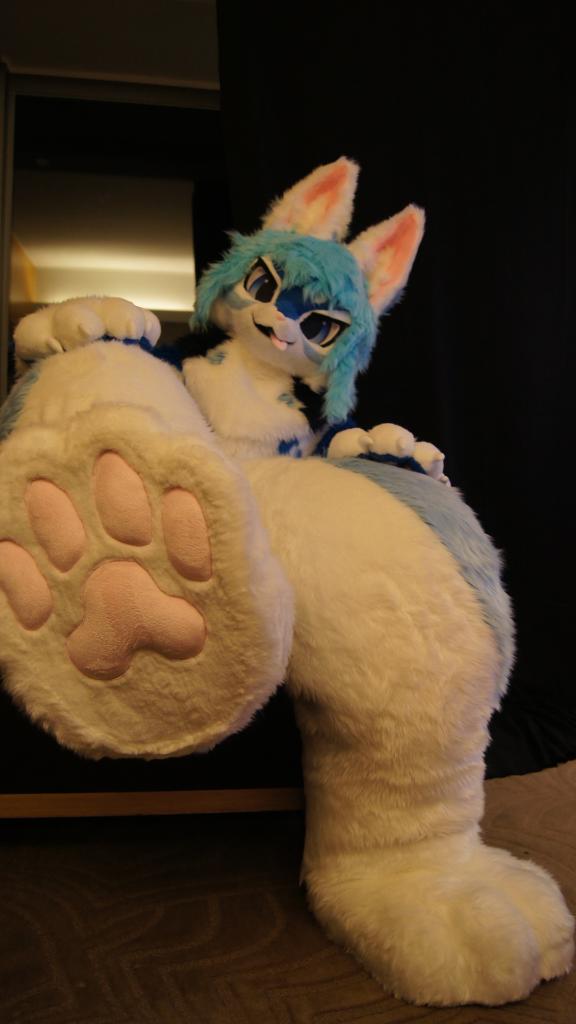 #pawday
📸: <a href="/Fuji_Shiro415/">FuJi vs UTFG25 vs ALPA</a> 

🐾