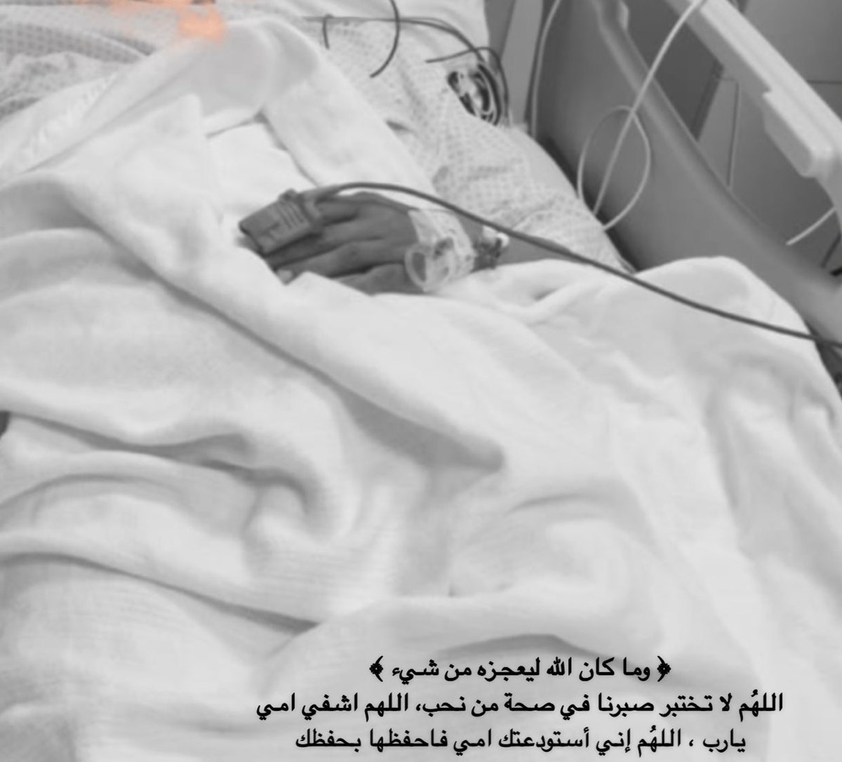 a m 🦋 tweet media