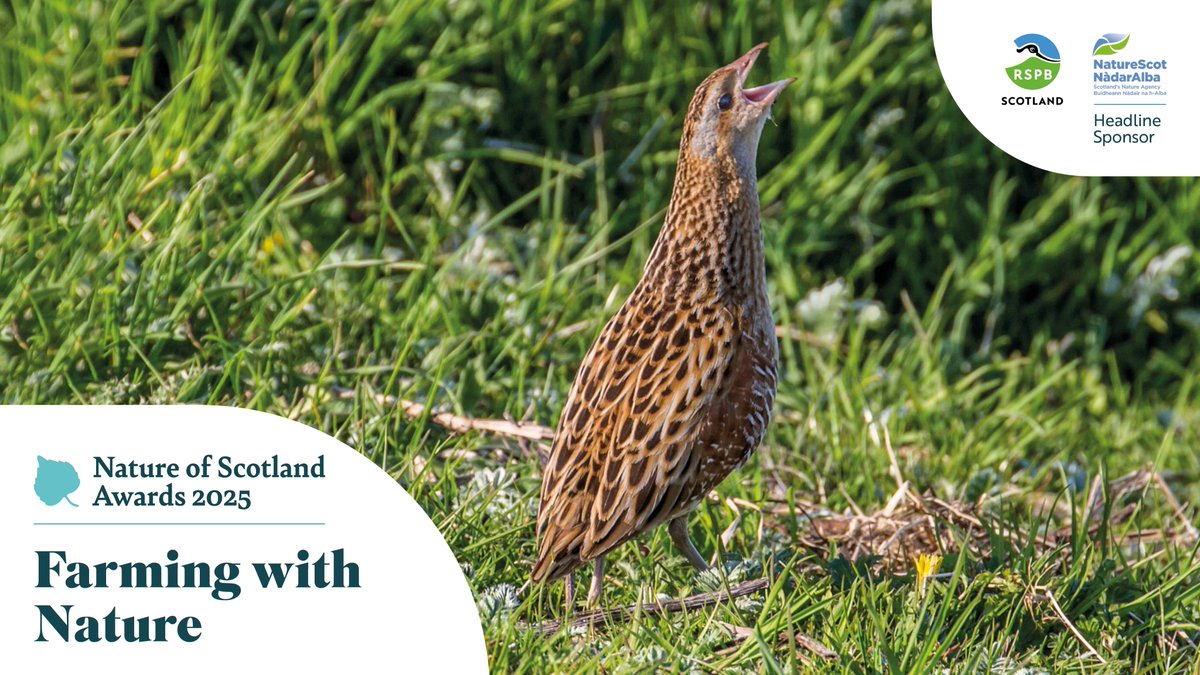 Farm Wildlife (@farmwildlifeuk) on Twitter photo The #NatureOfScotland Awards shine a light on the great work being done to help Scotland’s species and habitats, including farmers and crofters who are doing exceptional things to support nature.
Entries for 2025 are open now until 3 June
<a href="/NatureofScot/">Nature of Scotland Awards</a> <a href="/NFFNUK/">Nature Friendly Farming Network</a> <a href="/Natures_Voice/">RSPB</a> The #NatureOfScotland Awards shine a light on the great work being done to help Scotland’s species and habitats, including farmers and crofters who are doing exceptional things to support nature.
Entries for 2025 are open now until 3 June
<a href="/NatureofScot/">Nature of Scotland Awards</a> <a href="/NFFNUK/">Nature Friendly Farming Network</a> <a href="/Natures_Voice/">RSPB</a>