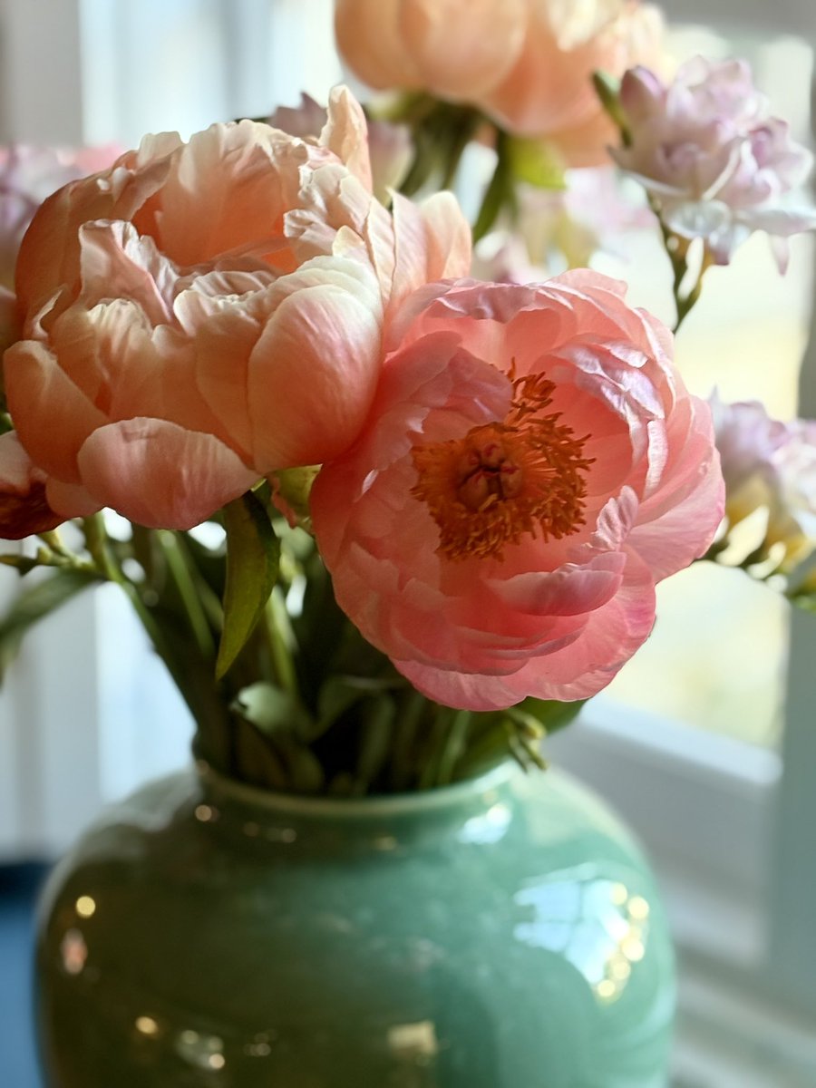 Openhighhat's tweet photo. @silverpebble Mine from last week before they became dramatic and dropped all their petals in one day. Peonies are my absolute fave 🥰 https://t.co/3SVxfvSYvQ