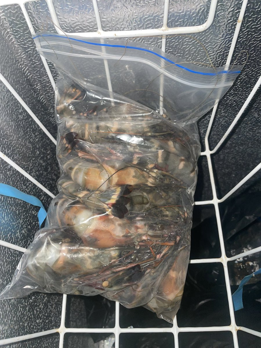 REINA_FOODS's tweet photo. Good morning my people. We have brought Lagos to Akure. No need to go to Lagos for fresh seafood or shipping your items abroad. At Reinafoods, we offer:
International shipping
Bulk and retail supply of seafoods and frozen foods
Service delivery(running errands). Pls RT. https://t.co/Cko7wvlavR