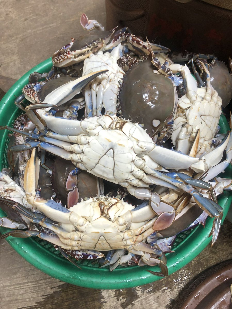 REINA_FOODS's tweet photo. Good morning my people. We have brought Lagos to Akure. No need to go to Lagos for fresh seafood or shipping your items abroad. At Reinafoods, we offer:
International shipping
Bulk and retail supply of seafoods and frozen foods
Service delivery(running errands). Pls RT. https://t.co/Cko7wvlavR