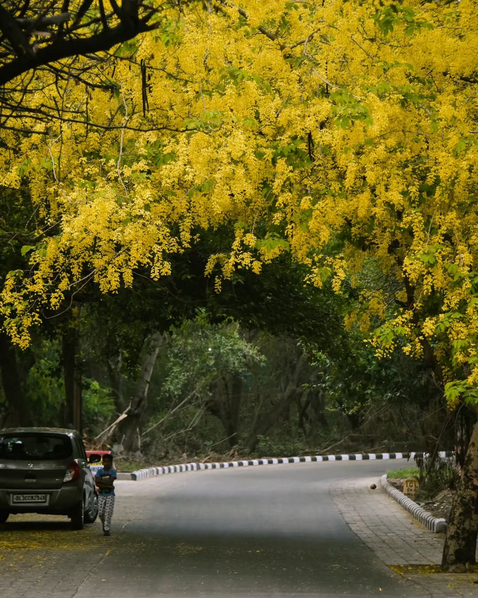 JNU wrapped in gold.
#jnu