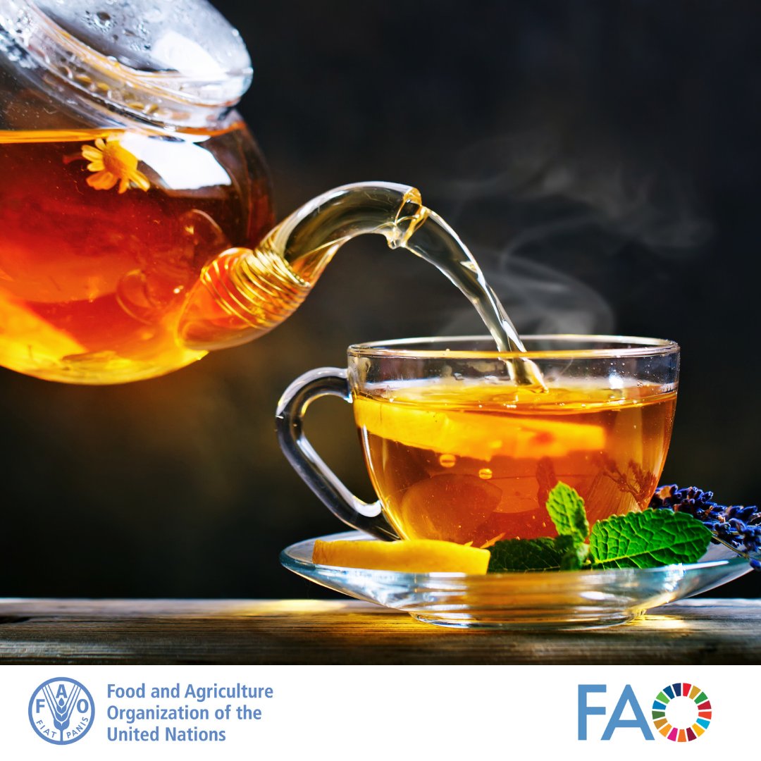 Happy #InternationalTeaDay! Did you know tea is the world’s most consumed drink, after water? 🍵🫖

For more information, see 👉bit.ly/4drq9lx