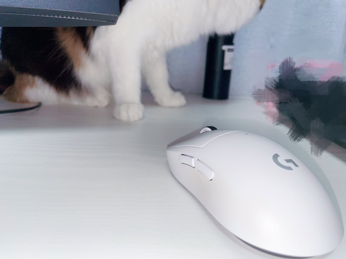 軽くて手に馴染んで使いやすいのでSuperlightの頃から愛用してます🐱ྀི

#Superlight2
#DFM_LogicoolG #pr