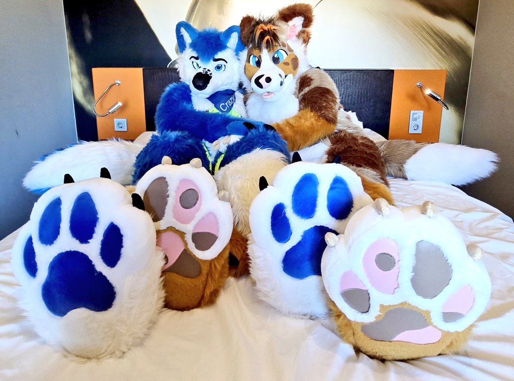 Crazy Wolf 🐾 tweet media