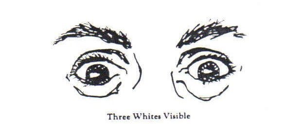 1 billion years of these eyes coalescing out of the formless abyss to swallow your watch hours