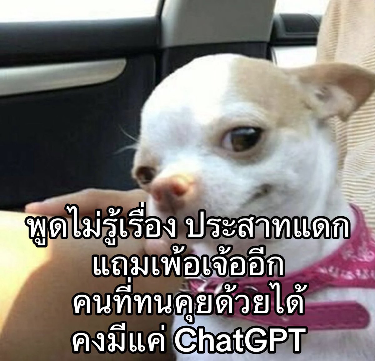 คนคุยเพียงหนึ่งเดียวที่รับนิสัยเธอได้