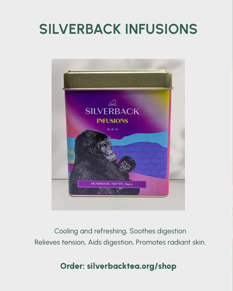 You can Order #silverbacktea on our website

silverbacktea.org/shop