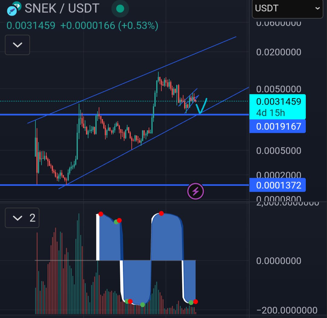$snek re-test the trend line and the prior low. If we hold then that's a huge opportunity!