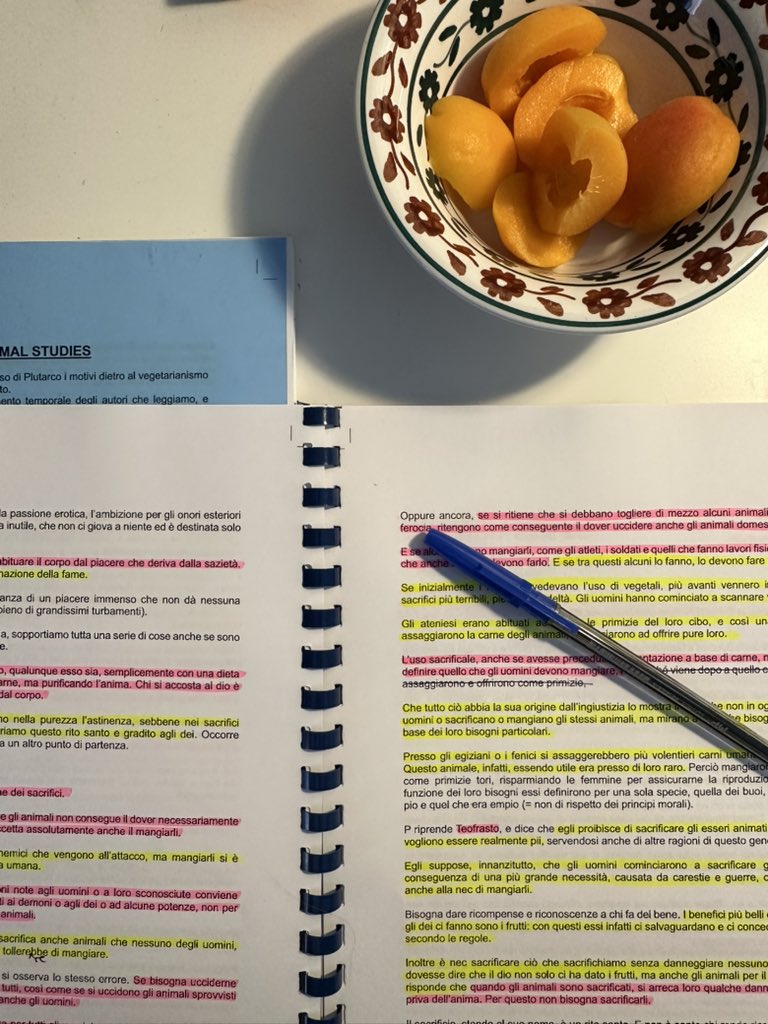 saradjokofan1's tweet image. 🧡📖 #unilife