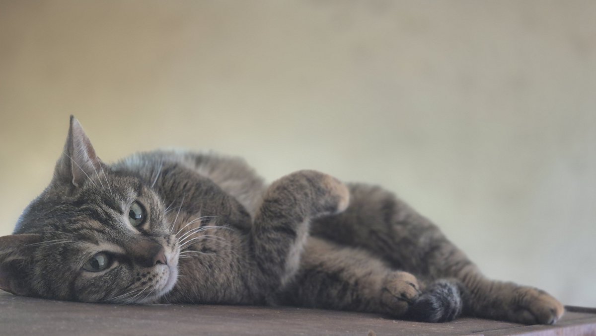 Добрый день!