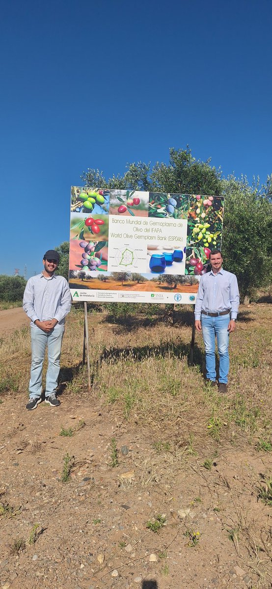 Fco Jesús Gómez tweet media