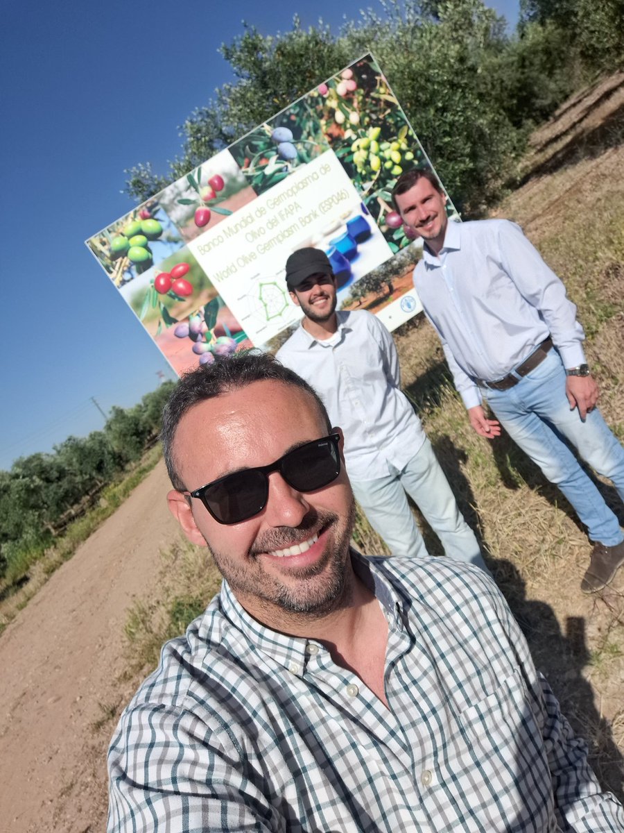 Fco Jesús Gómez tweet media