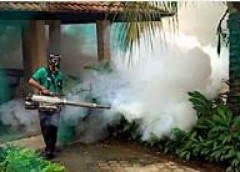 رش مبيدات حشريه 
مكافحة حشرات ورش 
رش صراصير 
رش نمل اسود 
مكافحة نمل ابيض 
رش ناموس بالرياض 
0534647248