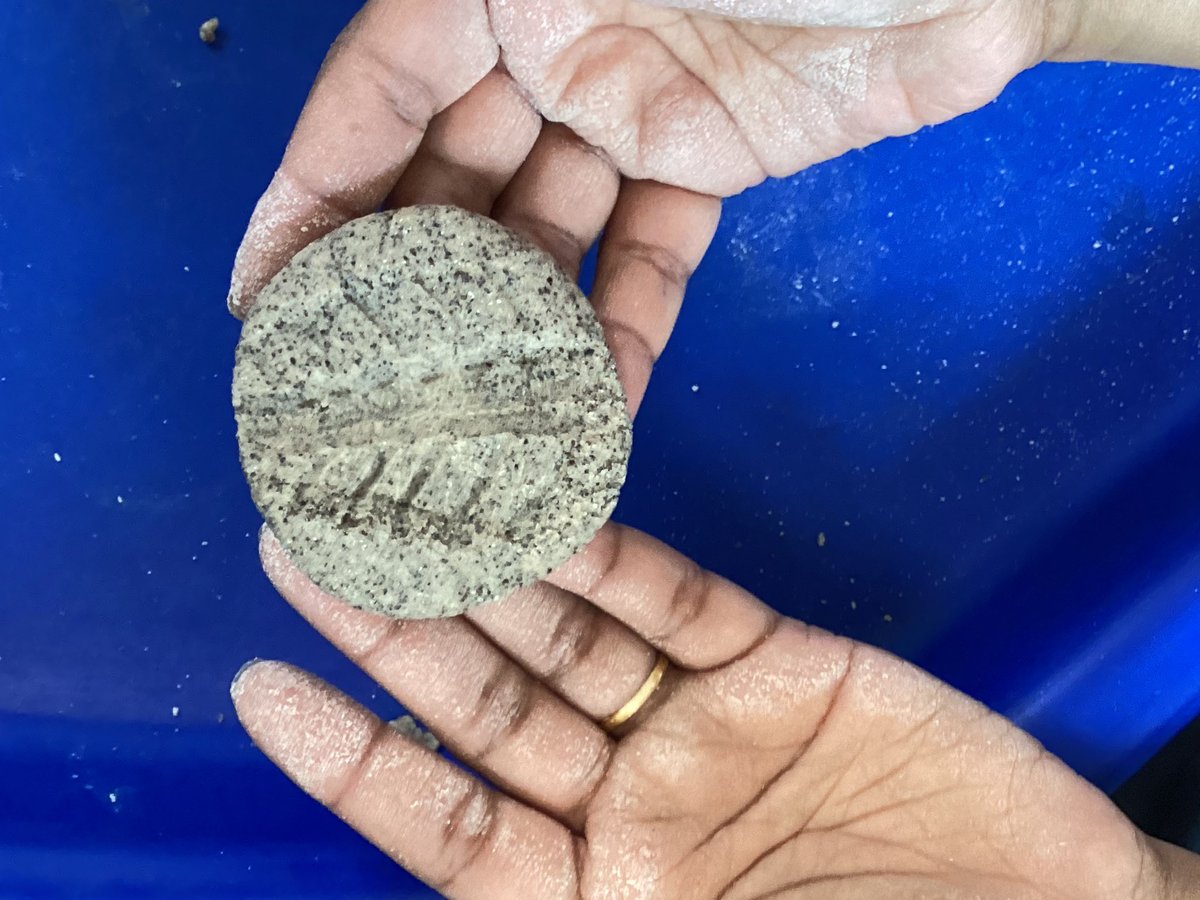 AbbeyMead_TMET's tweet image. FOL/SS have enjoyed creating our own dinosaur fossils from salt dough #EYFS #ExpressiveArtsandDesign