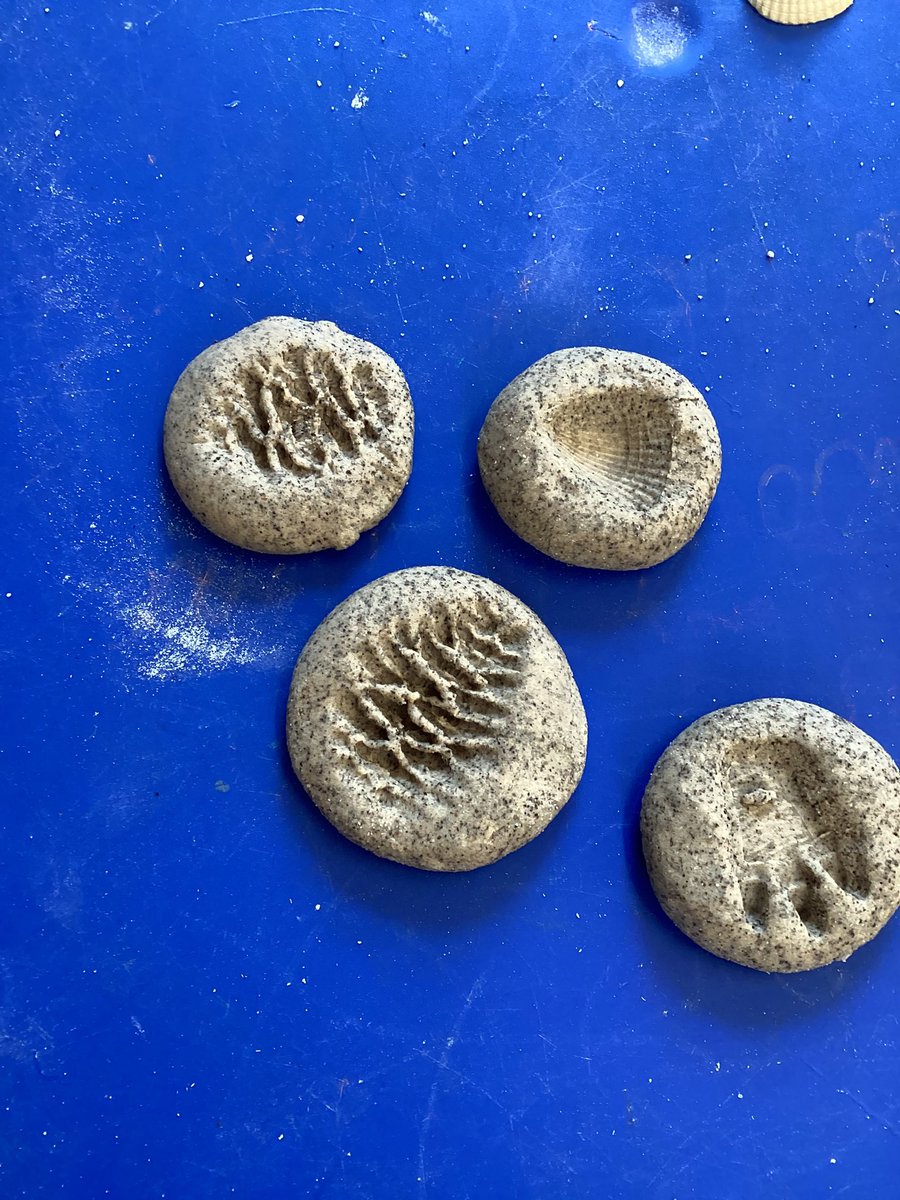 AbbeyMead_TMET's tweet image. FOL/SS have enjoyed creating our own dinosaur fossils from salt dough #EYFS #ExpressiveArtsandDesign