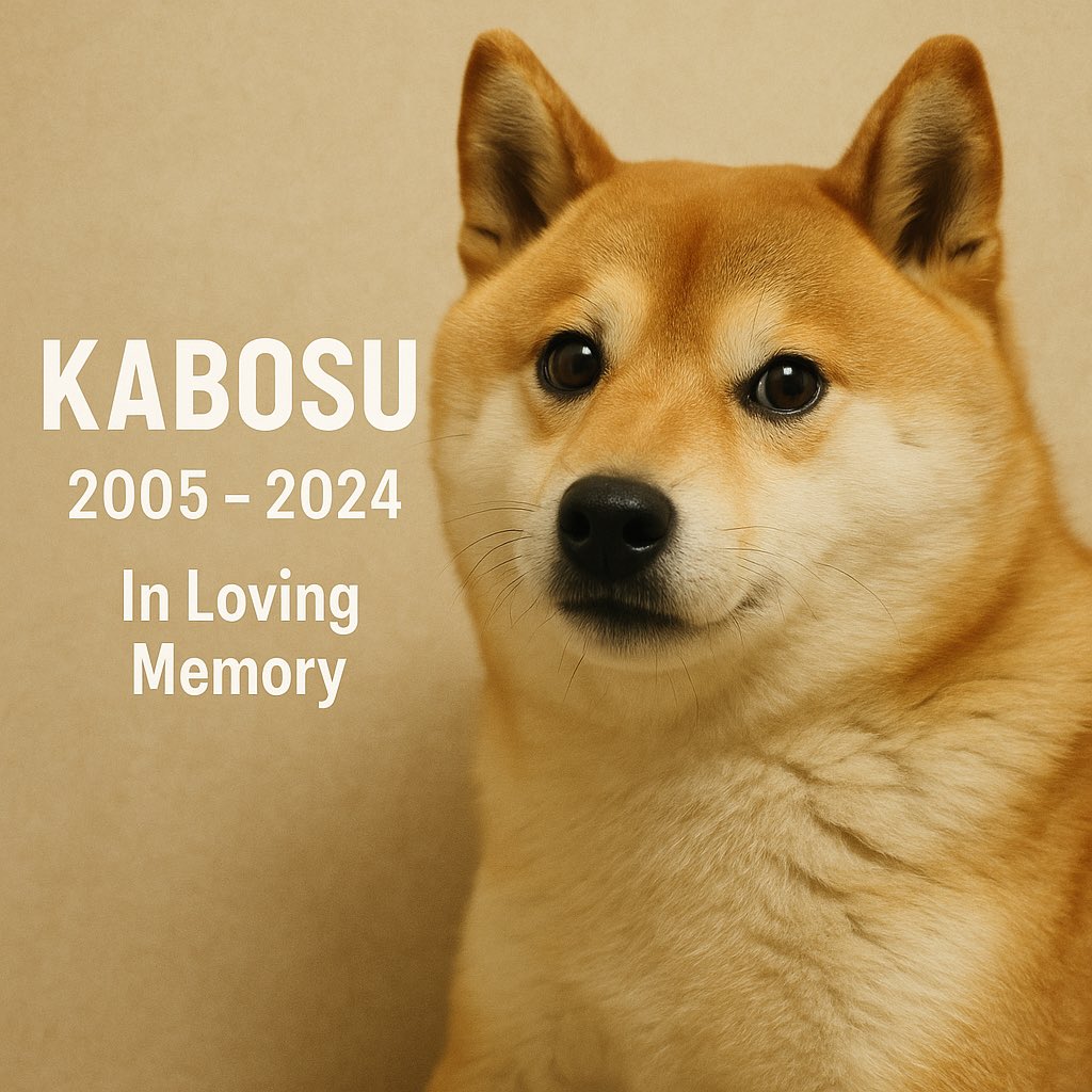 SolRogue's tweet photo. It's been almost a year since $Kabosu left us.
Only 3 days left to the anniversary of death.
I remember him with love and gratitude. 🐾💫

https://t.co/UJH02pMoYP

#Kabosu #Doge #Solana #InMemoriam https://t.co/fcAwjv7YIS