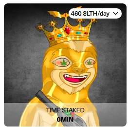 Graham Rider 🪞 tweet media