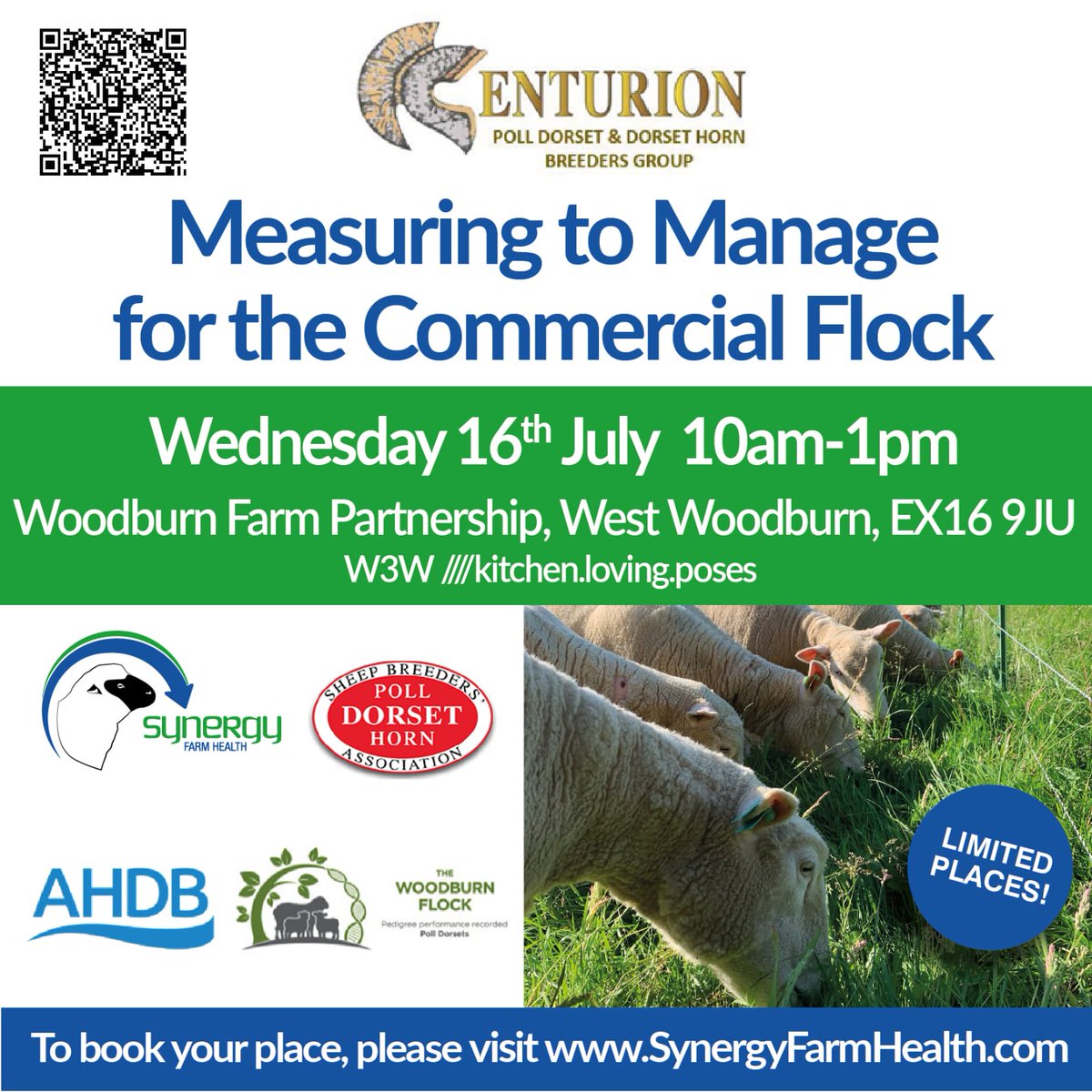 Centurion Dorset Sheep Breeding Group tweet media