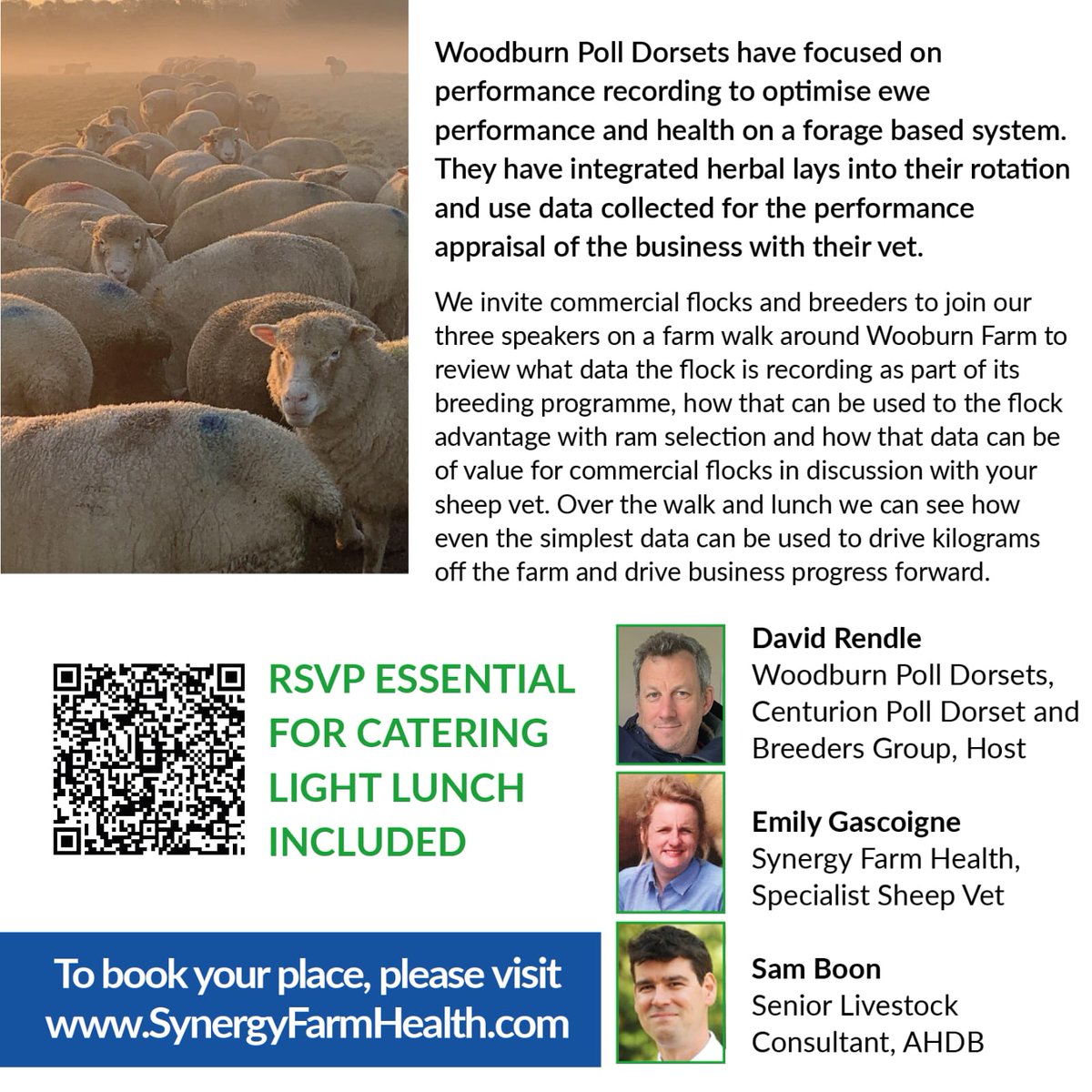 Centurion Dorset Sheep Breeding Group (@centuriongroup2) on Twitter photo 